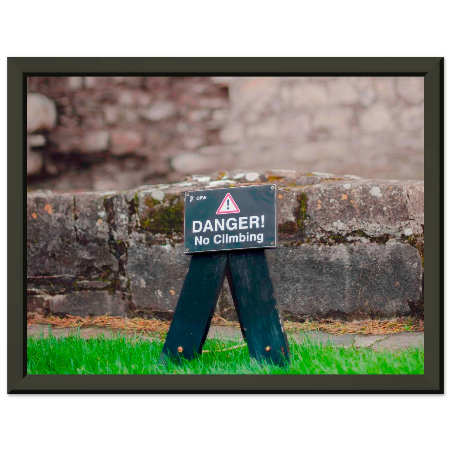 02ac9f2d-f015-4079-81e7-a2a8df6ca79b